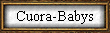 Cuora-Babys